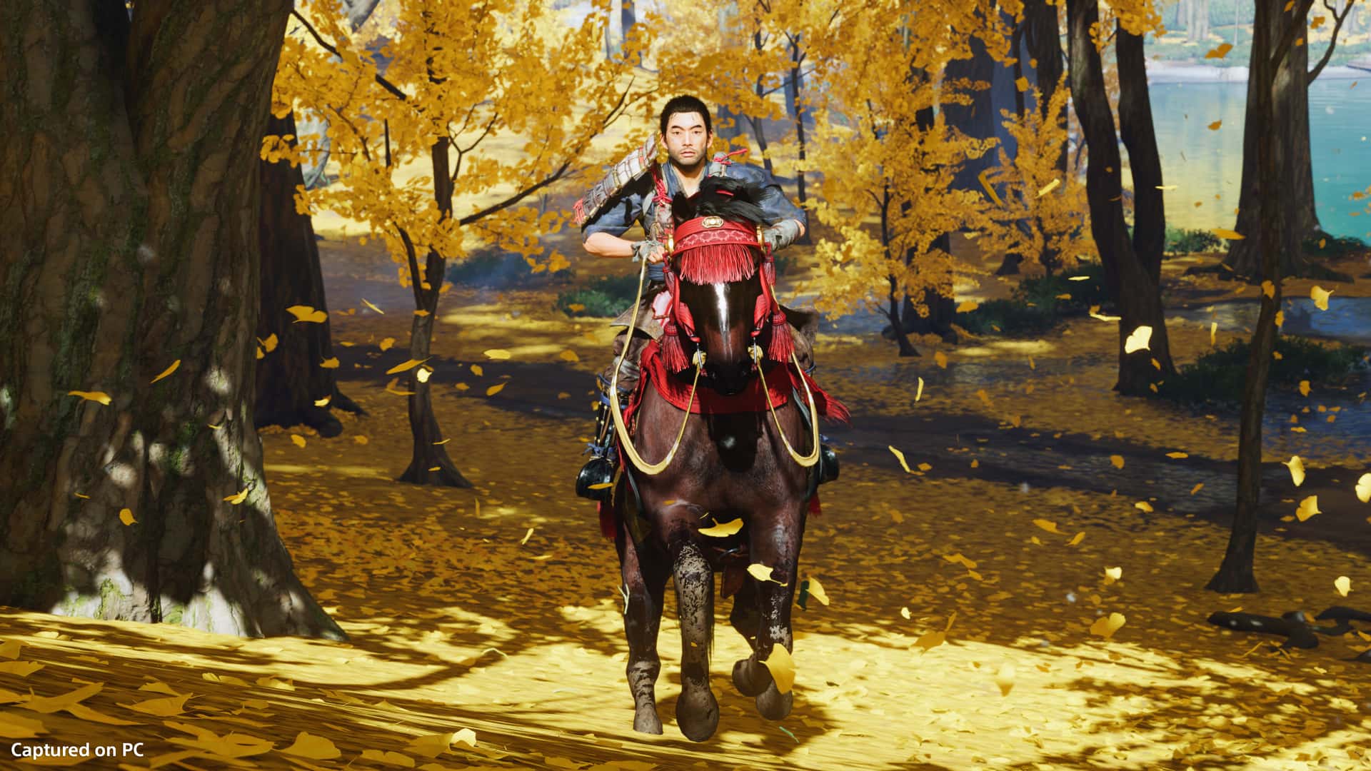 对马岛之魂 Ghost of Tsushima 导演剪辑版 全DLC最新豪华中文版游戏封面